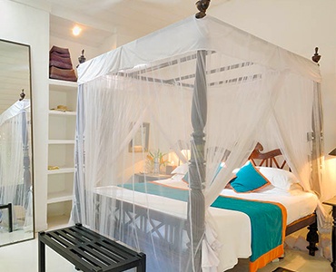 Kingfisher - Sun House - Sri Lanka In Style